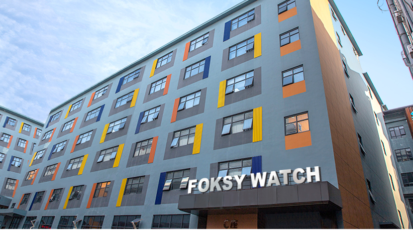 Fashion Watch Manufacturer