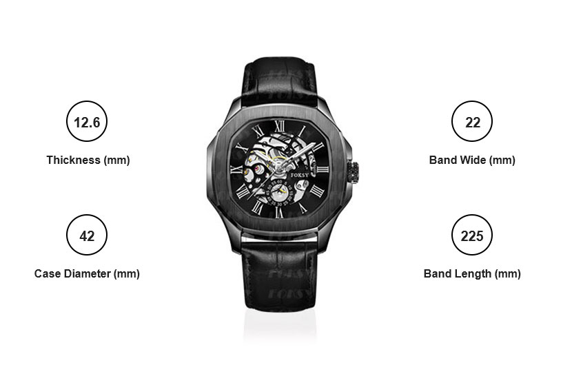 Men's Luxury Automatic Watch