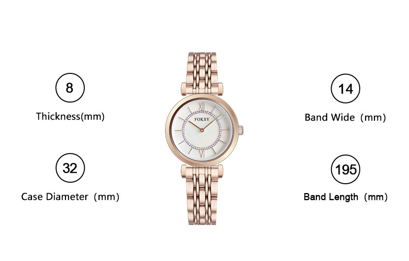 ladies designer watches