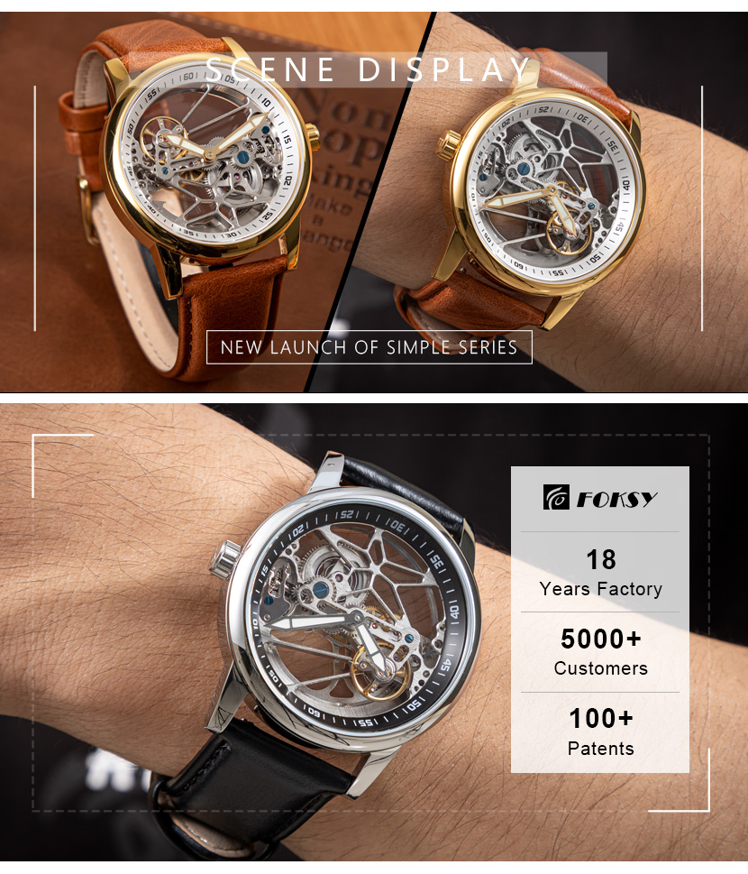 luxury watch