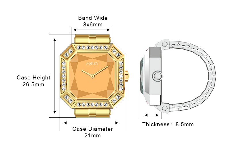 Tone Ring Watch