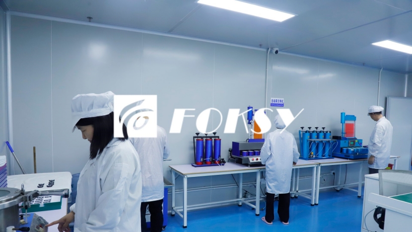 How Do Brand Manufacturers Select Watch Manufacturing Factories?