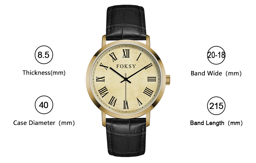 quartz movt watch